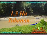 JUAL MURAH TANAH di TABANAN 150 Are View Sawah dan Sungai