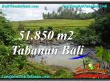 TANAH di TABANAN DIJUAL MURAH 51,850 m2 di Tabanan Selemadeg