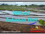 JUAL TANAH di TABANAN BALI 900 m2 di Tabanan Selemadeg