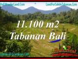 JUAL TANAH MURAH di TABANAN BALI 111 Are di Tabanan Penebel