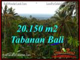 JUAL MURAH TANAH di TABANAN BALI 201.5 Are di Tabanan Penebel