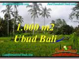 DIJUAL MURAH TANAH di UBUD BALI 10 Are di Ubud Payangan