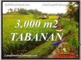 TANAH di TABANAN BALI DIJUAL MURAH TJTB328