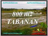 TANAH DIJUAL MURAH di TABANAN BALI 800 m2 di Tabanan Selemadeg