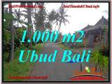 TANAH DIJUAL MURAH di UBUD 1,000 m2 di Ubud Pejeng