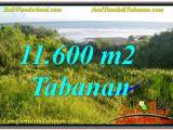 TANAH di TABANAN JUAL 116 Are View Laut, Gunung dan sawah