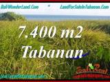 JUAL TANAH di TABANAN 74 Are View Laut, Gunung dan sawah