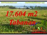 JUAL TANAH MURAH di TABANAN BALI 176.04 Are View Laut, Gunung dan sawah
