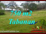 JUAL TANAH di TABANAN 7.5 Are View laut dan sawah