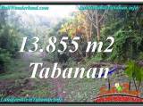 TANAH di TABANAN JUAL 138.55 Are View Kebun dan Sungai