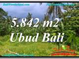 JUAL MURAH TANAH di UBUD BALI 5,842 m2  View Tebing dan Sungai, Link. Villa