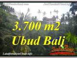 JUAL TANAH di UBUD BALI 37 Are di Sentral / Ubud Center