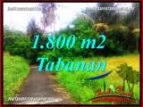 TANAH MURAH DIJUAL di TABANAN BALI 1,850 m2 di Tabanan Selemadeg