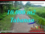 TANAH MURAH di TABANAN BALI DIJUAL 10,000 m2 di Tabanan Selemadeg