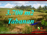 DIJUAL MURAH TANAH di TABANAN 3,700 m2 di Tabanan Selemadeg