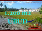 DIJUAL MURAH TANAH di UBUD 1,200 m2 di Sentral Ubud