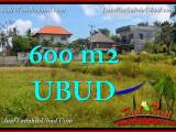 JUAL TANAH MURAH di UBUD 600 m2 di Sentral Ubud