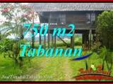 TANAH di TABANAN BALI DIJUAL Untuk INVESTASI TJTB370