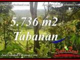 JUAL TANAH DI TABANAN BALI 5,736 m2 di Tabanan Selemadeg