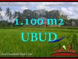 TANAH MURAH DIJUAL di UBUD BALI 1,100 m2 di Ubud Pejeng