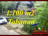TANAH MURAH DIJUAL di TABANAN BALI Untuk INVESTASI TJTB371