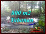 TANAH MURAH DIJUAL di TABANAN BALI Untuk INVESTASI TJTB384