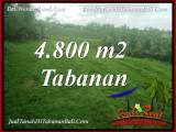 TANAH MURAH di TABANAN BALI 4,800 m2 di TABANAN SELEMADEG